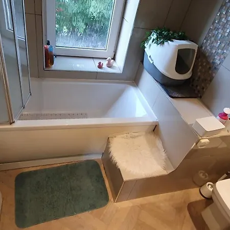 In With Hot Tub And Three Cats *