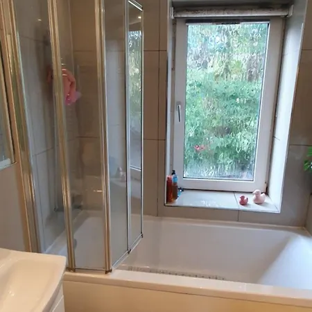 In With Hot Tub And Three Cats