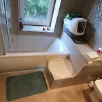 In With Hot Tub And Three Cats *